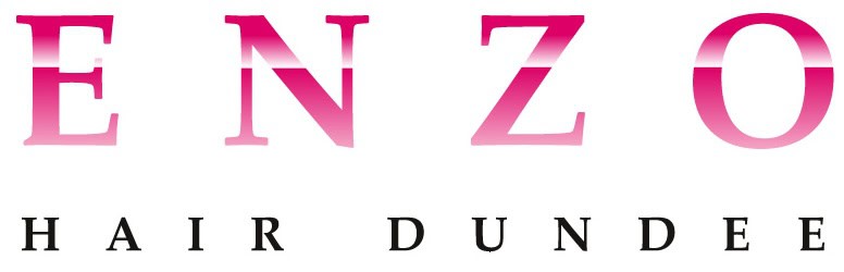 Enzo Hair Dundee logo with elegant pink gradient text on white background.