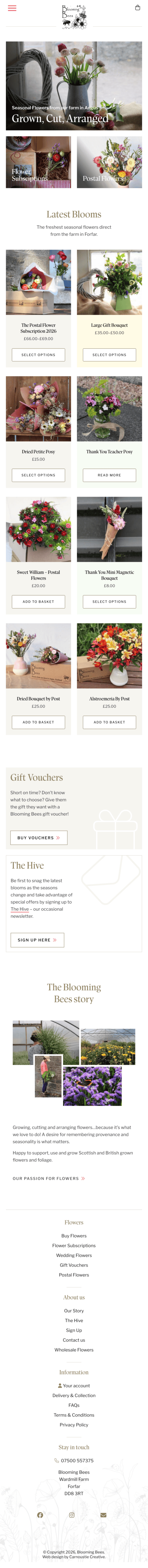 www.bloomingbees.co.uk mobile screenshot